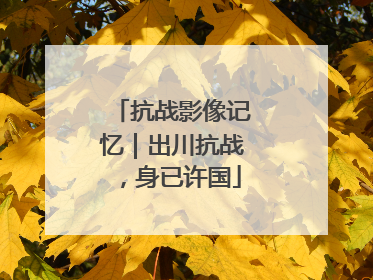 抗战影像记忆｜出川抗战，身已许国