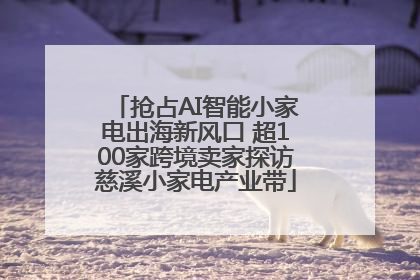 抢占AI智能小家电出海新风口 超100家跨境卖家探访慈溪小家电产业带