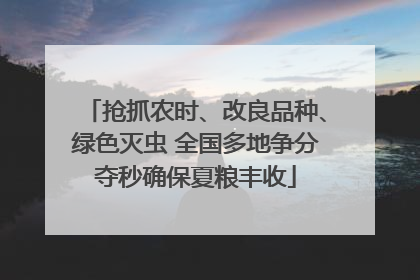 抢抓农时、改良品种、绿色灭虫 全国多地争分夺秒确保夏粮丰收