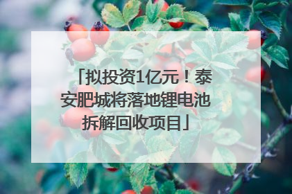 拟投资1亿元！泰安肥城将落地锂电池拆解回收项目