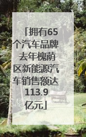 拥有65个汽车品牌 去年槐荫区新能源汽车销售额达113.9亿元