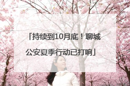 持续到10月底！聊城公安夏季行动已打响