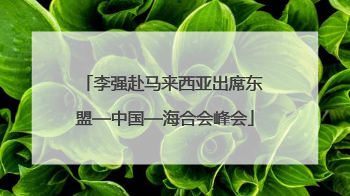 李强赴马来西亚出席东盟—中国—海合会峰会