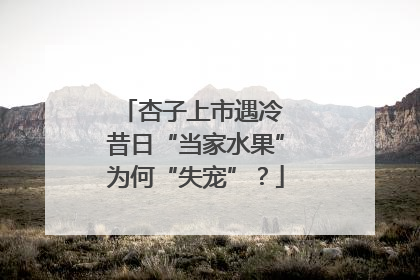 杏子上市遇冷 昔日“当家水果”为何“失宠”？