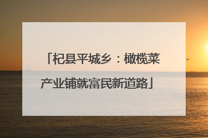 杞县平城乡：橄榄菜产业铺就富民新道路