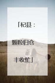 杞县：颗粒归仓丰收忙