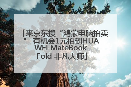 来京东搜“鸿蒙电脑拍卖” 有机会1元拍到HUAWEI MateBook Fold 非凡大师