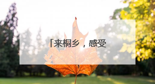 来桐乡，感受大运河畔的“宋韵”端午