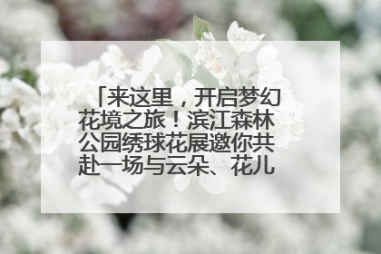 来这里，开启梦幻花境之旅！滨江森林公园绣球花展邀你共赴一场与云朵、花儿的浪漫之约