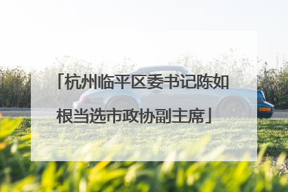 杭州临平区委书记陈如根当选市政协副主席