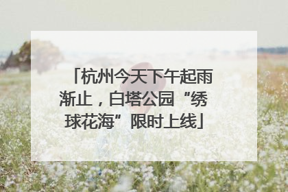杭州今天下午起雨渐止，白塔公园“绣球花海”限时上线