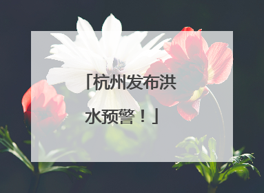 杭州发布洪水预警！