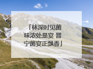 林深时见菌 味浓处是宴 晋宁菌宴正飘香