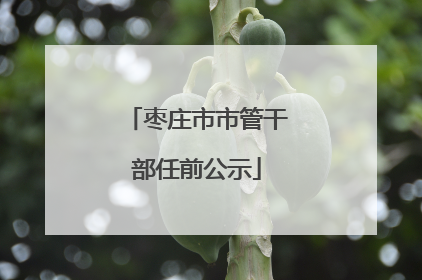枣庄市市管干部任前公示