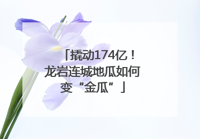 撬动174亿！龙岩连城地瓜如何变“金瓜”