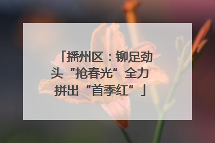 播州区：铆足劲头“抢春光”全力拼出“首季红”