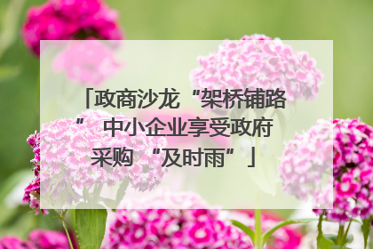 政商沙龙“架桥铺路” 中小企业享受政府采购 “及时雨”