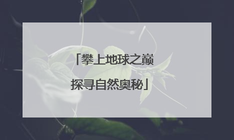 攀上地球之巅 探寻自然奥秘