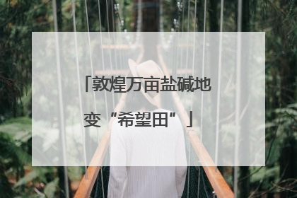 敦煌万亩盐碱地变“希望田”