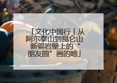 文化中国行丨从阿尔泰山到昆仑山 新疆岩壁上的“朋友圈”画的啥