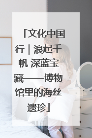 文化中国行｜浪起千帆 深蓝宝藏——博物馆里的海丝遗珍