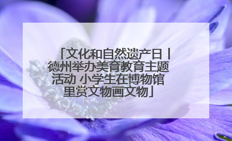 文化和自然遗产日丨德州举办美育教育主题活动 小学生在博物馆里赏文物画文物