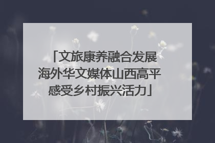 文旅康养融合发展 海外华文媒体山西高平感受乡村振兴活力