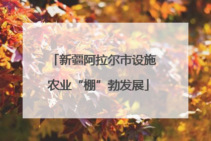 新疆阿拉尔市设施农业“棚”勃发展