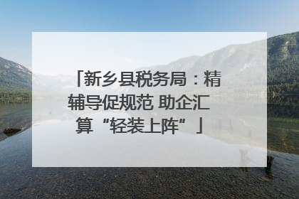 新乡县税务局：精辅导促规范 助企汇算“轻装上阵”