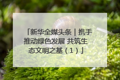 新华全媒头条｜携手推动绿色发展 共筑生态文明之基（1）