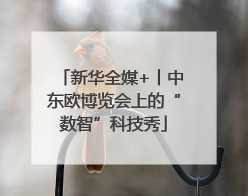 新华全媒+丨中东欧博览会上的“数智”科技秀