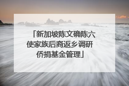 新加坡陈文确陈六使家族后裔返乡调研侨捐基金管理