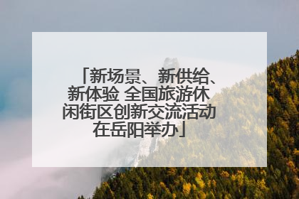 新场景、新供给、新体验 全国旅游休闲街区创新交流活动在岳阳举办