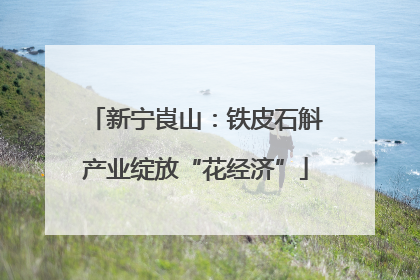 新宁崀山：铁皮石斛产业绽放“花经济”