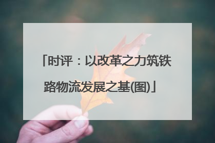 时评：以改革之力筑铁路物流发展之基(图)