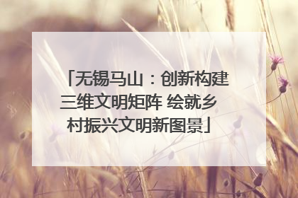 无锡马山：创新构建三维文明矩阵 绘就乡村振兴文明新图景
