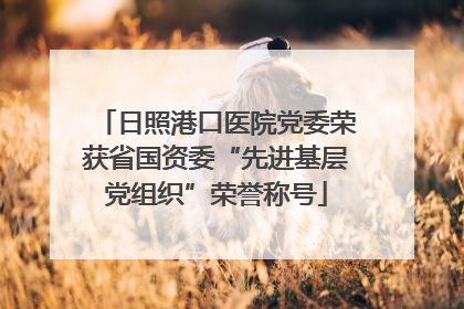 日照港口医院党委荣获省国资委“先进基层党组织”荣誉称号