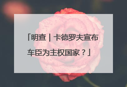明查｜卡德罗夫宣布车臣为主权国家？