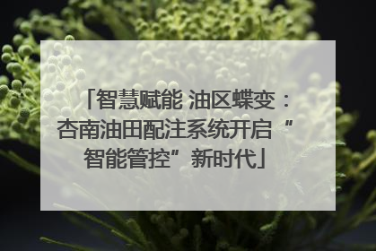 智慧赋能 油区蝶变：杏南油田配注系统开启“智能管控”新时代