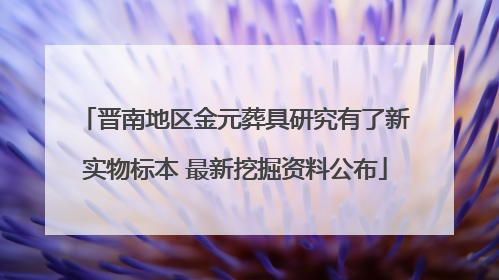 晋南地区金元葬具研究有了新实物标本 最新挖掘资料公布