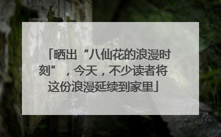 晒出“八仙花的浪漫时刻”，今天，不少读者将这份浪漫延续到家里