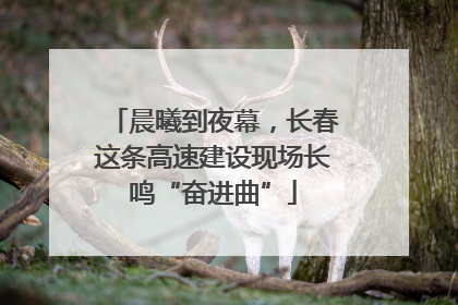 晨曦到夜幕，长春这条高速建设现场长鸣“奋进曲”