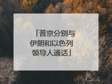 普京分别与伊朗和以色列领导人通话