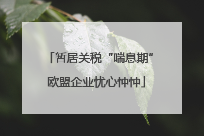 暂居关税“喘息期” 欧盟企业忧心忡忡
