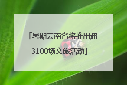 暑期云南省将推出超3100场文旅活动