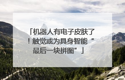 机器人有电子皮肤了！触觉或为具身智能“最后一块拼图”