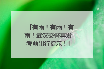 有雨！有雨！有雨！武汉交警再发考前出行提示！