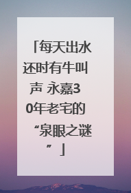 每天出水还时有牛叫声 永嘉30年老宅的“泉眼之谜”