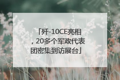 歼-10CE亮相，20多个军政代表团密集到访展台