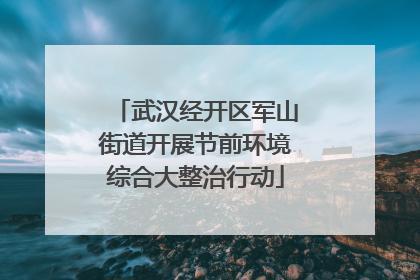 武汉经开区军山街道开展节前环境综合大整治行动